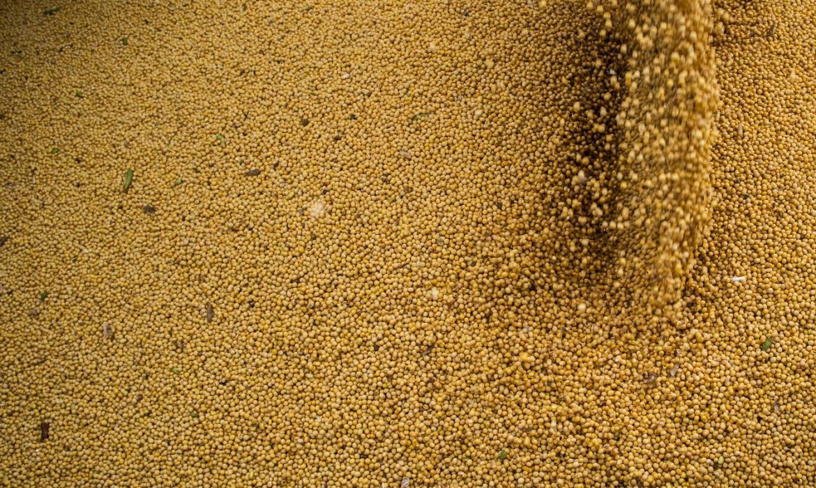 © CNA/Wenderson Araujo/Trilux