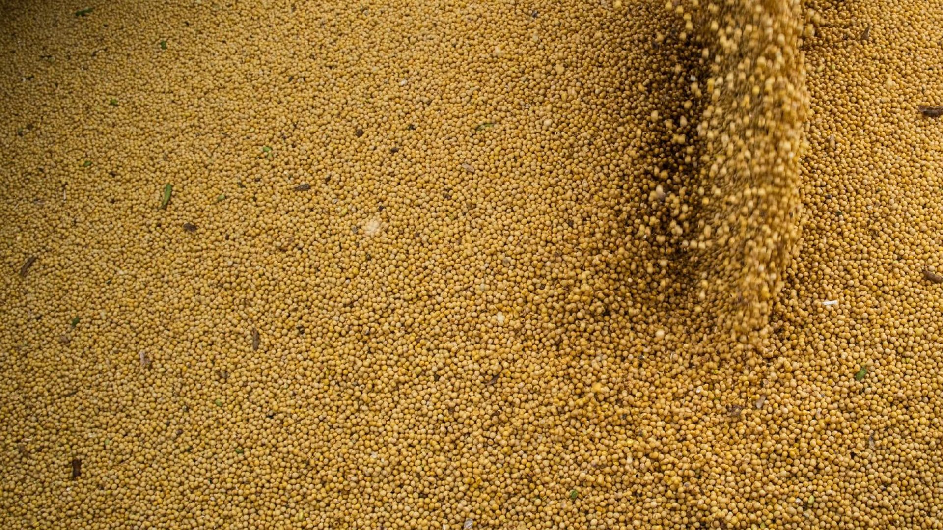 © CNA/Wenderson Araujo/Trilux