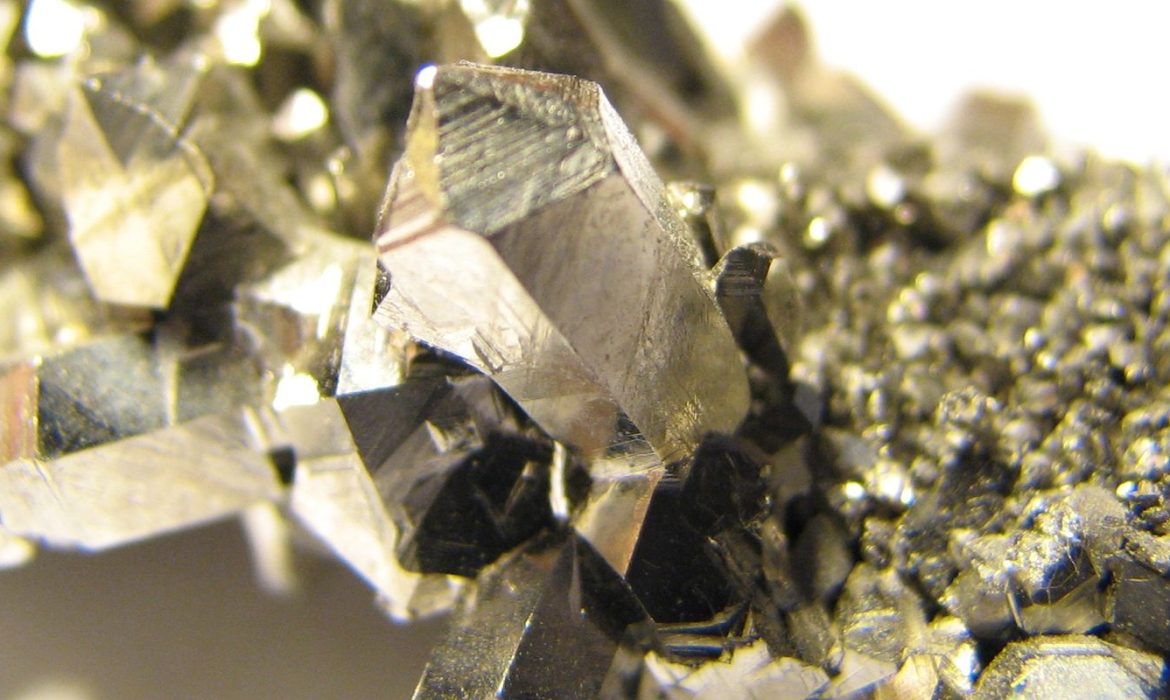 © Portal Gov.br/Reprodução