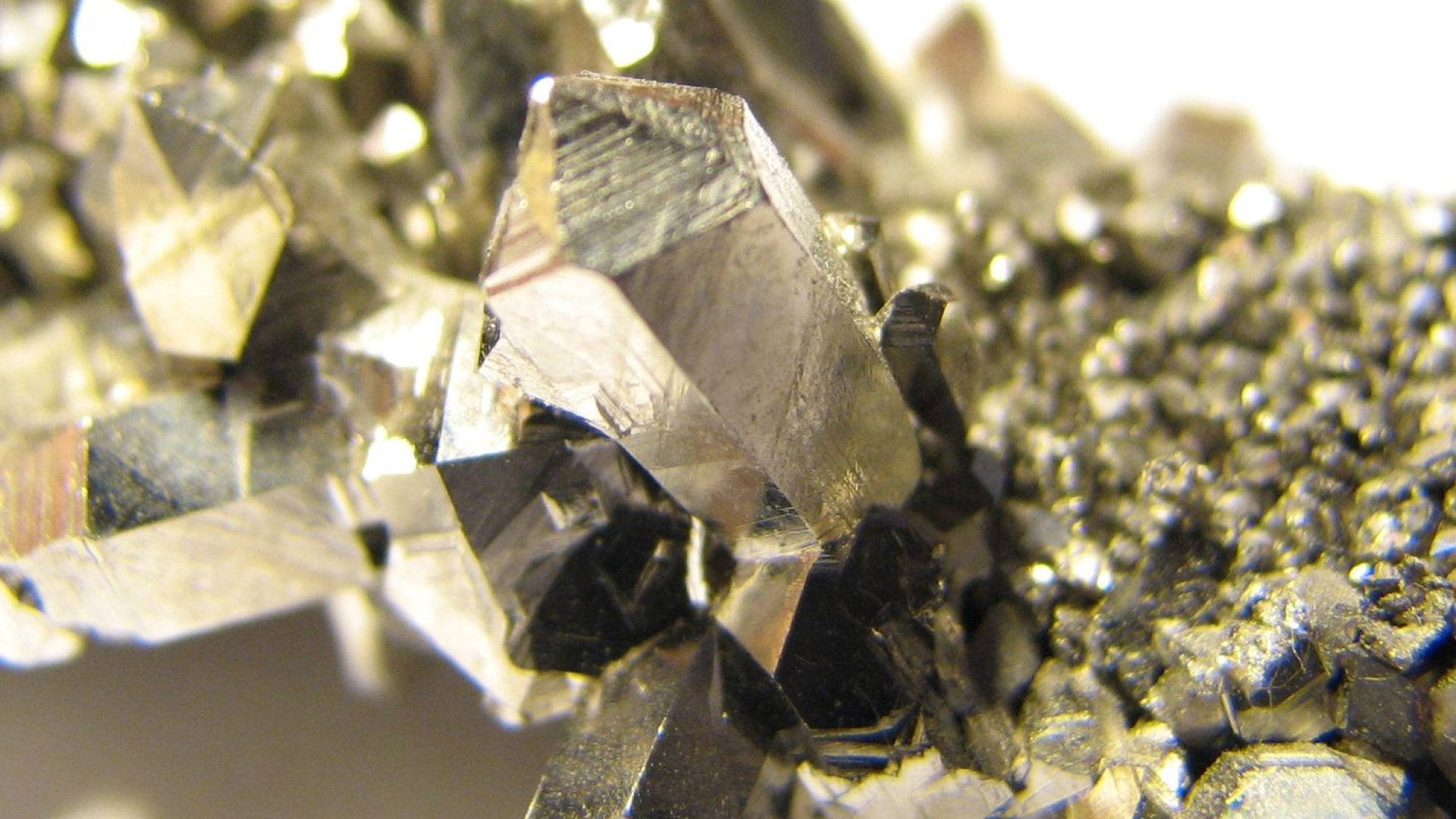 © Portal Gov.br/Reprodução