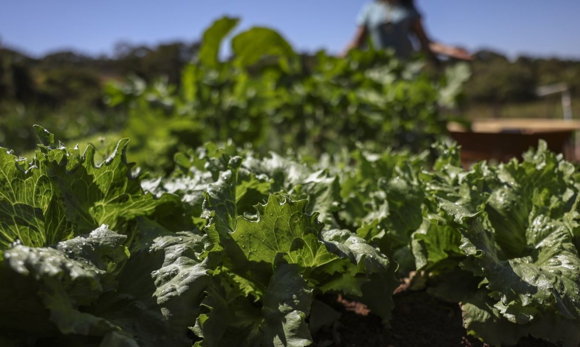 © Marcelo Camargo/Agência Brasil