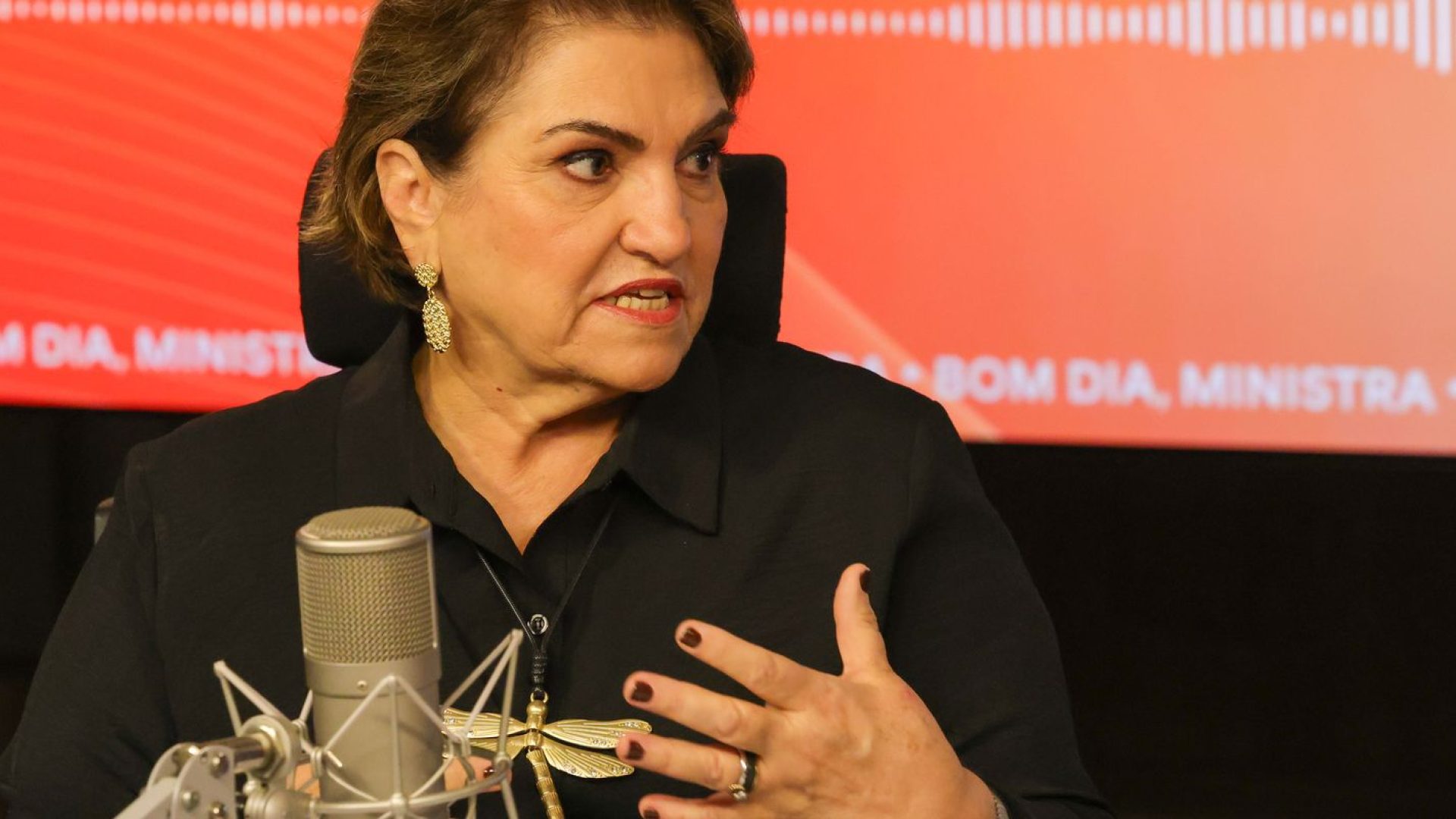 © Fabio Rodrigues-Pozzebom/ Agência Brasil