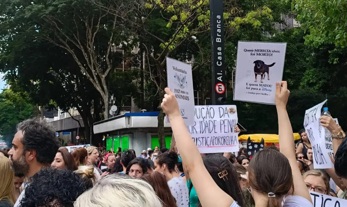 © Letycia Bond/ Agência Brasil