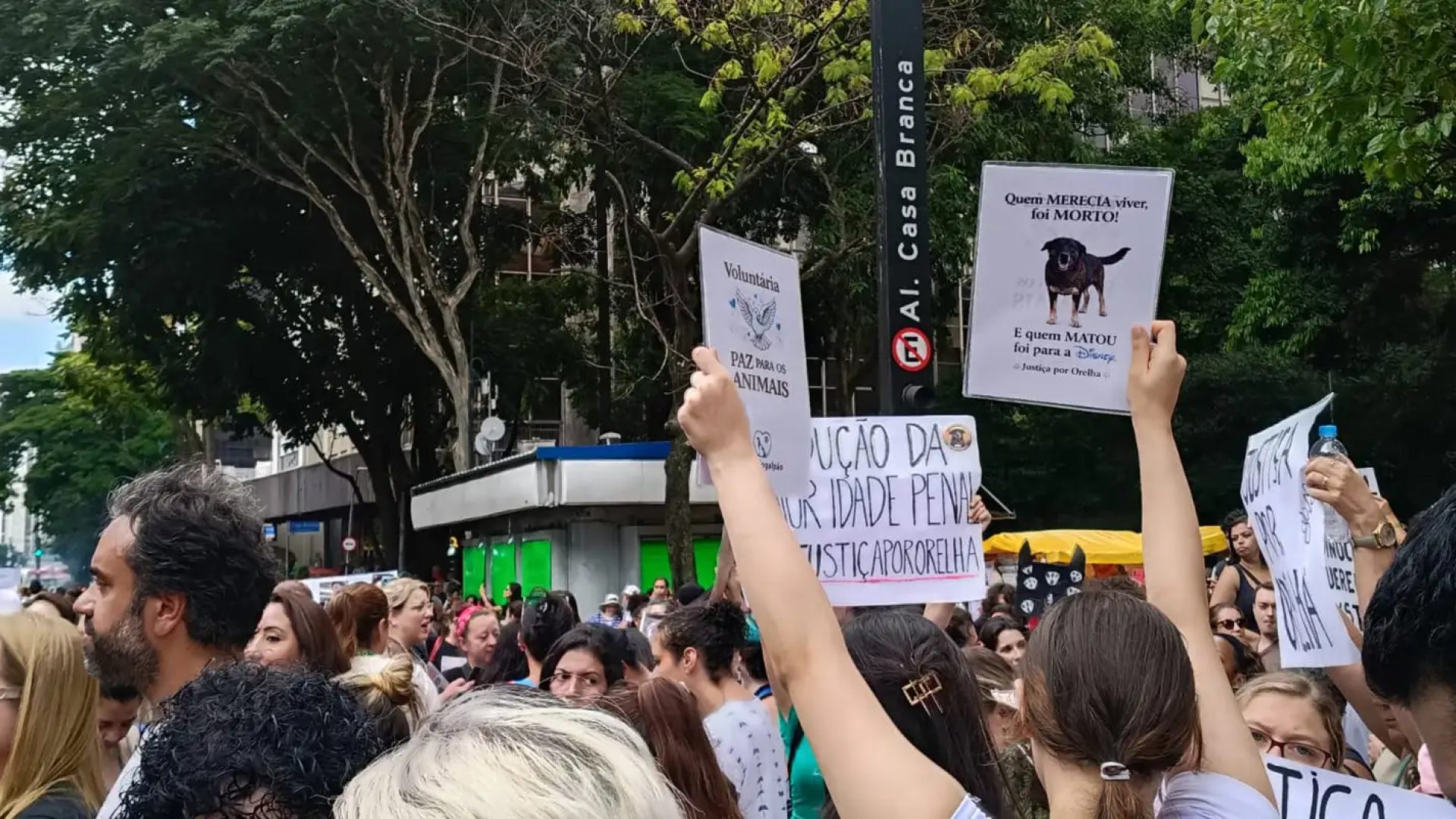 © Letycia Bond/ Agência Brasil