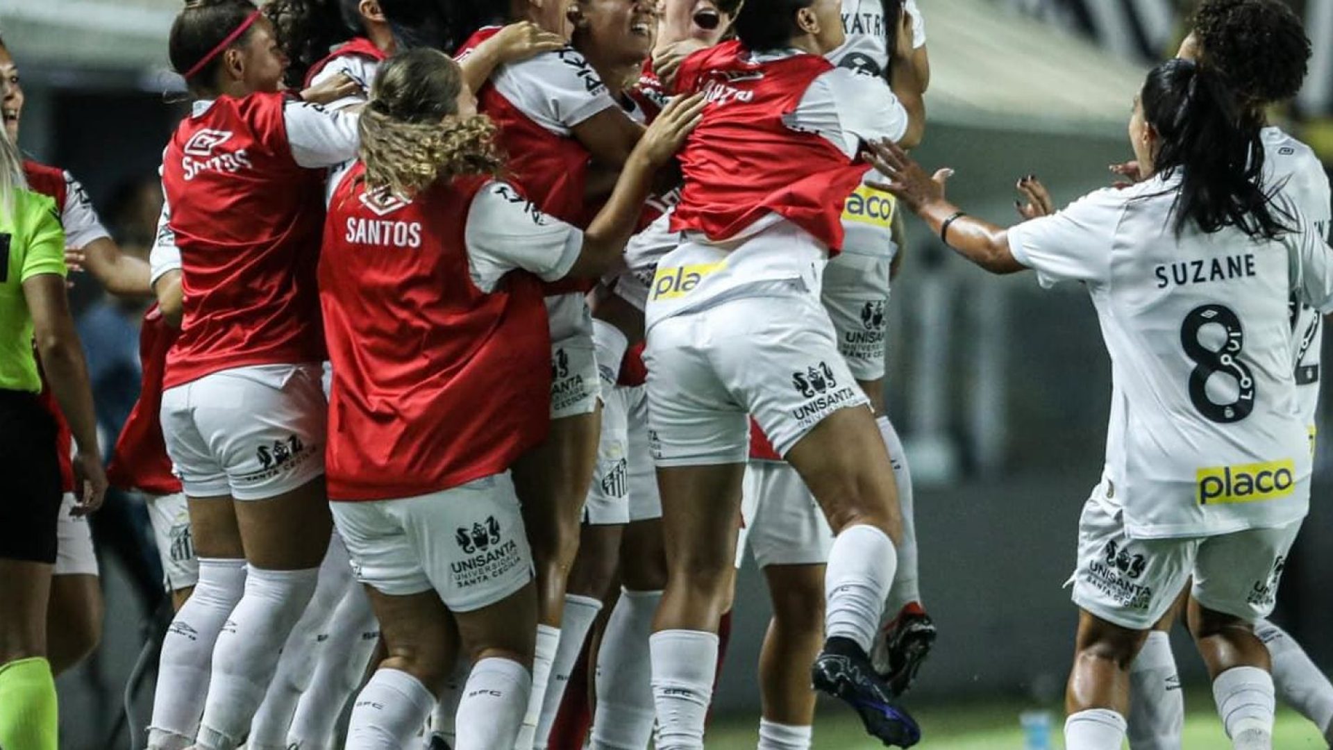 © Reinaldo Campos/Santos FC