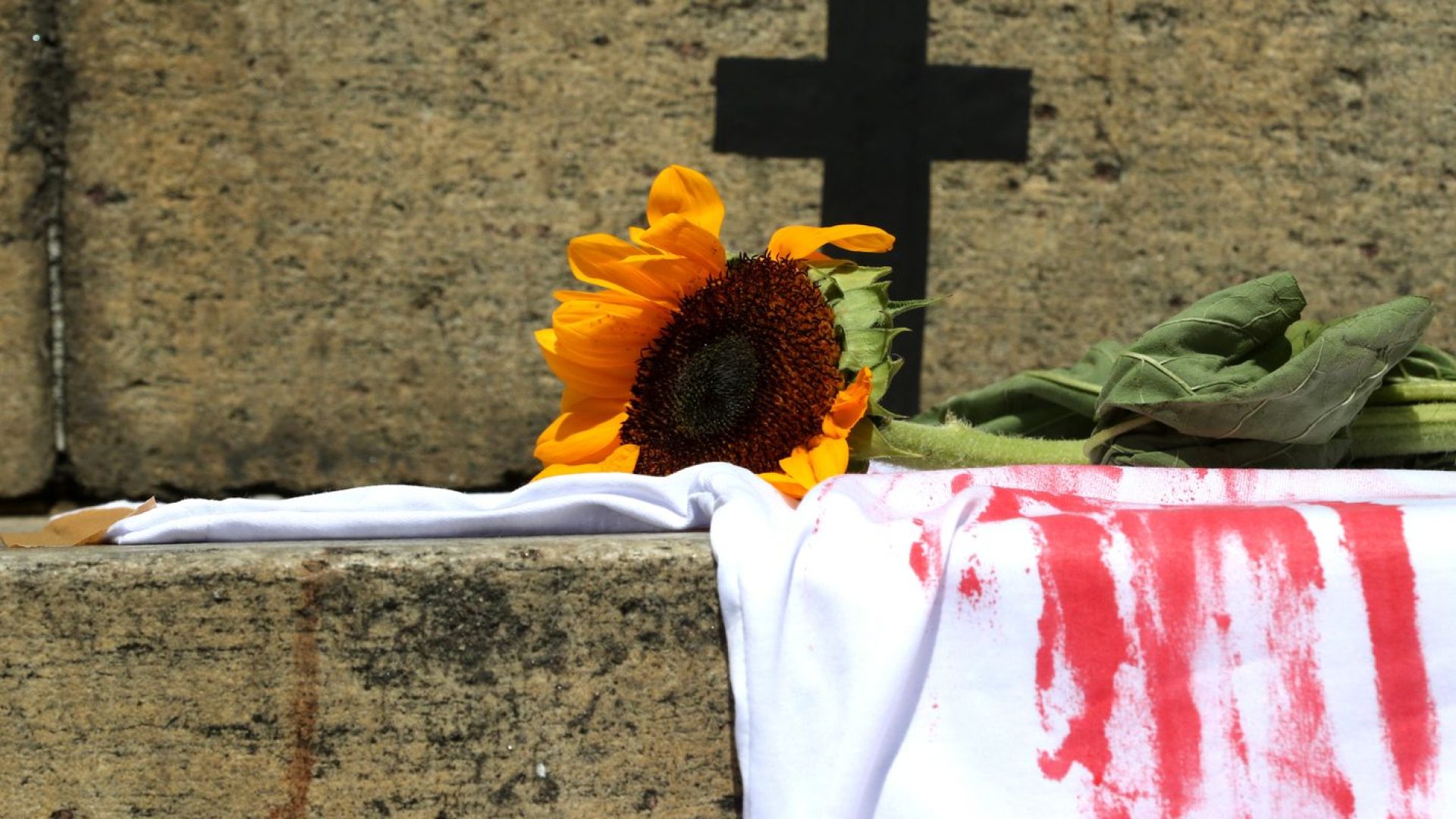 © Tânia Rêgo/Agência Brasil