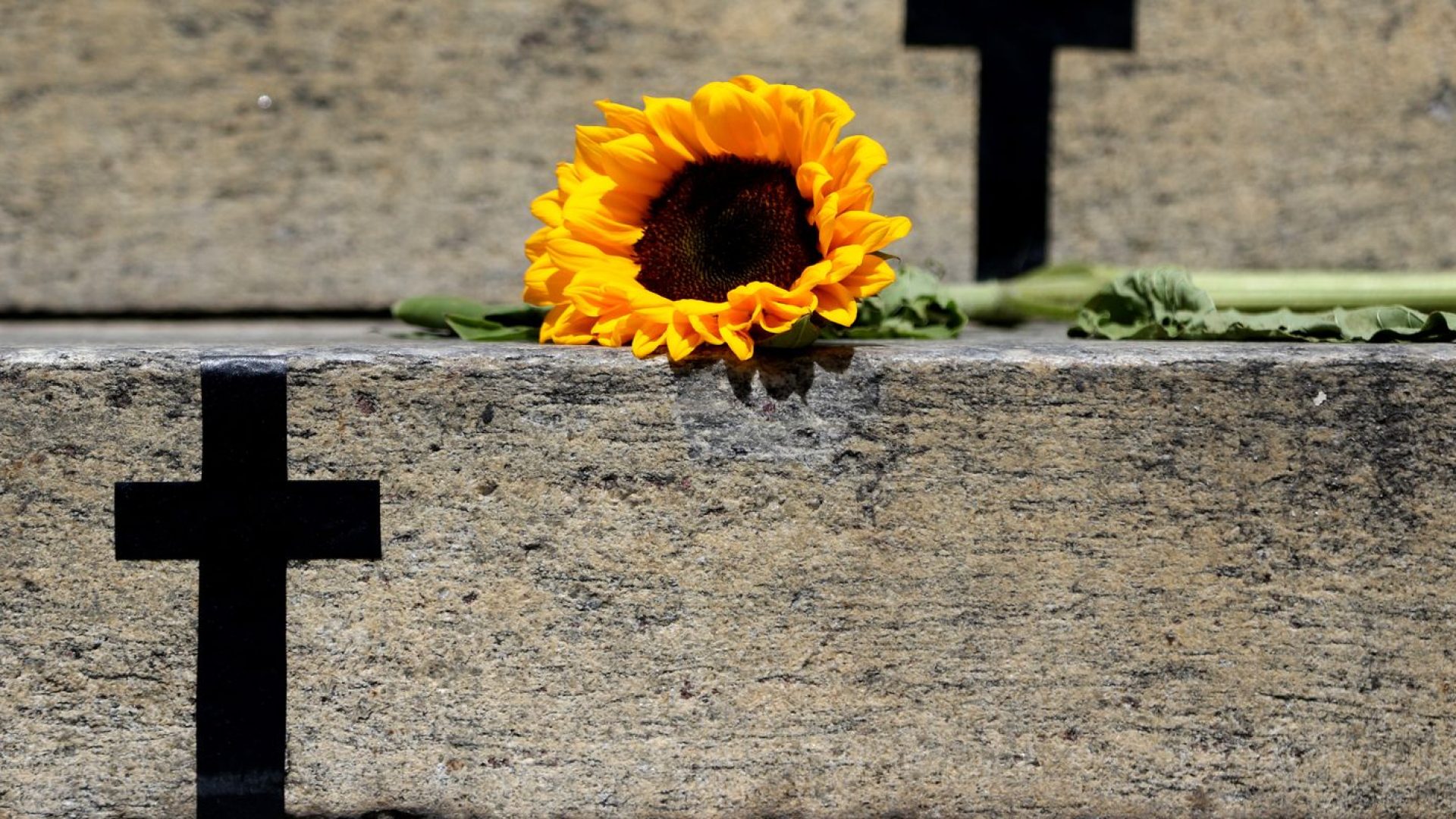 © Tânia Rêgo/Agência Brasil